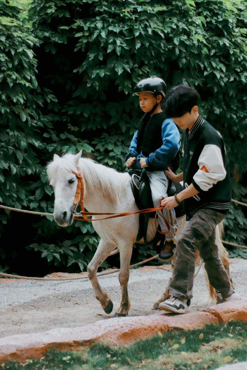 Sorties de détente en extérieur pour chevaux au repos